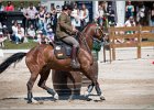 Pferd International 151